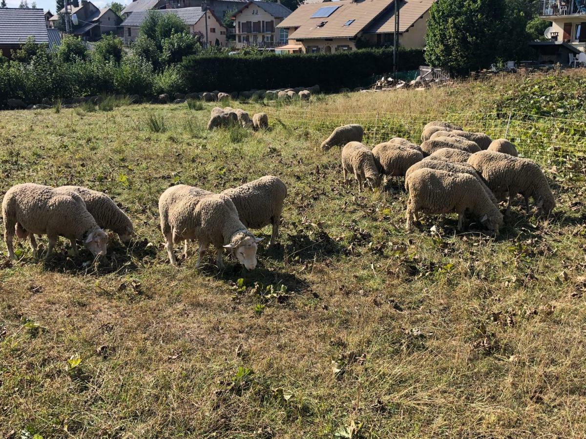 Duplex 6 A 8 Couchages Calme Avec Solarium Plein Sud Apartman Ancelle Kültér fotó